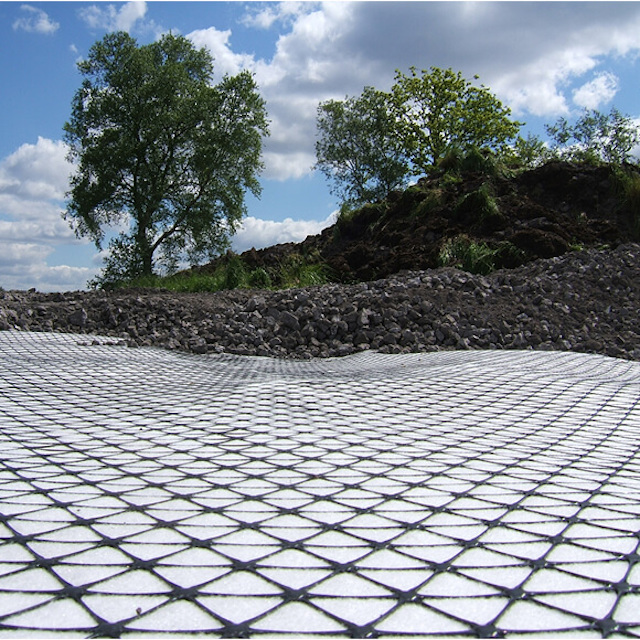 geogrid